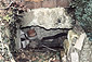 Erdbunker Am Weinberg 5 Ibbenb&uuml;ren